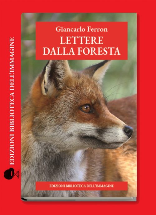 LETTERE DALLA FORESTA
